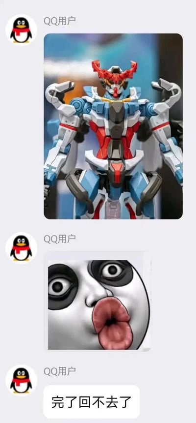 这是一段QQ平台的聊天记录截图，用户先后发送了三张内容：第一张是经过魔改的高达模型图片，该模型的身体姿势与造型呈现出怪异滑稽的视觉效果，打破了机甲原本的硬朗风格；第二张是一张熊猫头搞怪表情包，将熊猫头与人类夸张的五官结合，瞪大双眼、嘟着厚嘴唇，表情极具喜感；最后用户发送文字“完了回不去了”，表达自己看到这个魔改高达后，已经无法用正常眼光看待原版高达模型的搞笑心态，整体内容是玩梗式的趣味分享。