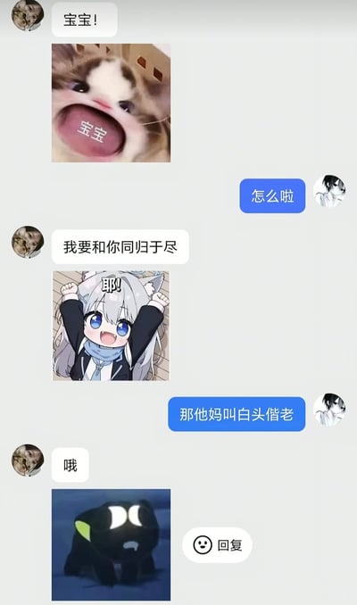 这是一张竖屏格式的社交软件聊天记录截图，对话双方为一对情侣：左侧头像的发言方先称呼对方“宝宝”，发送了一张大张嘴猫咪表情包，舌头位置标注文字“宝宝”；随后发言方说出“我要和你同归于尽”，搭配一张欢呼的猫耳二次元少女表情包；右侧头像的回复方立刻纠正称“那他妈叫白头偕老”，发言方仅回复“哦”，并发送了一张一脸呆滞懵圈的小黑猫表情包，整体呈现了情侣聊天时错把成语“白头偕老”记成“同归于尽”的搞笑乌龙事件，反差感带来强烈的幽默效果。