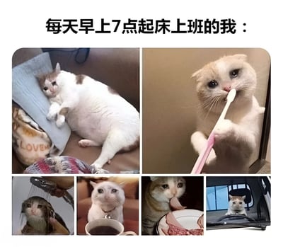 一张六格猫咪拼图，幽默展现打工人早晨七点起床上班的全过程。第一格：白猫慵懒地躺在床上，表情困倦不愿起床；第二格：橘猫拿着牙刷刷牙，眼神中透露出无奈；第三格：猫咪在淋浴下被水淋湿，表情呆滞；第四格：猫咪惊讶地看着咖啡杯；第五格：猫咪正在吃饭；第六格：猫咪坐在车内，表情疲惫地看着前方。通过猫咪的各种表情和动作，生动形象地描绘了上班族早起上班的真实状态，引发共鸣。