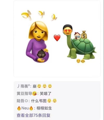 这是一张由苹果系统emoji素材合成的静态搞笑梗图，画面左侧是怀孕的金发女性emoji，但她腹中的胎儿是黑色男性emoji，头顶还有三个裂开的香蕉皮emoji；画面右侧是被替换头部的乌龟，头部是爱心眼的男性emoji，龟背上摆放着房子和装钱的袋子emoji，两者之间有一颗红心，下方还有两个流汗黄豆emoji。图片下方是社交媒体的评论区截图，网友们留下“崩”“笑嘻了”“什么弔图”“栩栩如生”等评论，表达对这张梗图离谱、搞笑的感受。
这张图通过emoji的组合玩内涵梗，暗示部分女性为了物质条件（房子、金钱）选择伴侣，可腹中孩子的外貌却和伴侣不符，是对婚恋中现实现象的戏谑调侃。