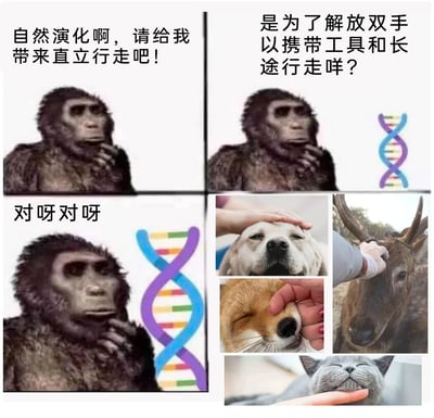 这是一张多图拼接的搞笑梗图，由三幅古猿图文和一幅动物合集图组成。左上的古猿托腮配文“自然演化啊，请给我带来直立行走吧！”，右上的古猿同样托腮配文“是为了解放双手以携带工具和长途行走咩？”，旁边配有DNA双螺旋图案；左下的古猿配文“对呀对呀”，也有DNA图案；右下是多张人类抚摸、撸动物的图片，包括摸狗、鹿、狐狸、猫的头部或脸部。该梗图通过反转的方式，将人类演化出直立行走的严肃科学目的，调侃为最终是为了方便撸各种可爱的动物，制造出强烈的反差感，达到搞笑效果，戳中动物爱好者的喜好。
