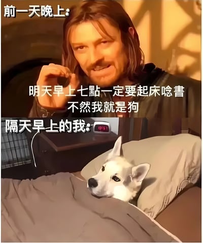 该图为上下对比式 meme，上半部分是《行尸走肉》中的角色戴瑞·迪克森，配文“前一天晚上：明天早上七点一定要起床看书 不然我就是狗”，他表情坚定，手指指向自己，似在郑重承诺。下半部分是一只白色狗狗舒适地躺在床上，背景中有显示9:47的闹钟，配文“隔天早上的我：”，幽默地表现出未能遵守早起承诺而“变狗”的自嘲场景。通过前后反差，生动调侃了人们常有的早起计划失败的经历，充满生活气息和幽默感。