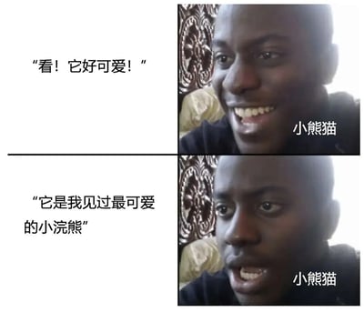 这是一张双格拼接的搞笑梗图，上半部分左边文字写着“看！它好可爱！”，右边是一个表情惊喜的黑人男子，旁边标注“小熊猫”；下半部分左边文字写着“它是我见过最可爱的小浣熊”，右边是同一个男子表情更加夸张的特写，旁边同样标注“小熊猫”。图片通过人物将小熊猫误认成小浣熊的对话制造幽默效果。