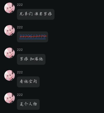 这是一张聊天记录截图，显示一个使用粉色头发动漫头像、ID为"222"的用户发送的多条消息。内容包括："兄弟们 谁要男娘"、一个被红色横线划掉的电话号码"3379613179"、"男娘 加爆他"、"看他空间"和"是个人物"。整体采用黑色背景，消息气泡为灰色，头像为圆形动漫人物形象。