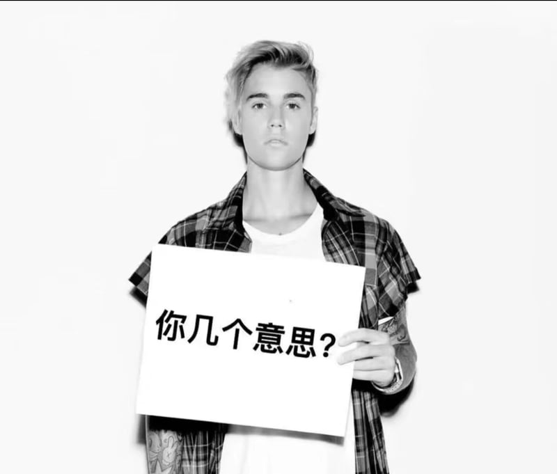 加拿大歌手