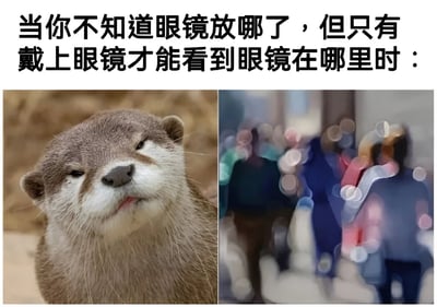 图片上方配有文字“当你不知道眼镜放哪了，但是只有戴上眼镜才能看到眼镜在哪里时：”，下方分为左右两部分。左侧是一只水獭的特写照片，它眯着眼睛，表情略带困惑地注视前方；右侧是一张高度模糊的照片，隐约可见衣物挂在衣架上的轮廓，模拟近视人群不戴眼镜时的视觉效果。整个梗图通过左右对比，幽默地展现了近视者丢失眼镜后“不戴眼镜看不见眼镜，戴了眼镜才需要找眼镜”的矛盾又无奈的日常场景。