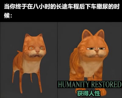 这是一张左右对比的搞笑梗图，通过一只橘猫的两种状态来幽默表现人们在长时间长途车程后终于能下车排尿的前后变化。左侧画面中，橘猫身体被夸张地拉长变形，表情痛苦扭曲，代表憋尿时的难受状态；右侧画面中，橘猫恢复正常形态，表情平静，下方配有文字'HUMANITY RESTORED'和'获得人性'，幽默地表现排尿后的舒适和解脱感。