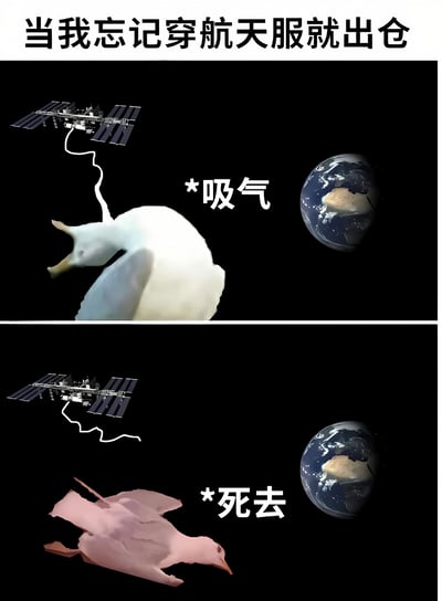 这是一张上下对比的搞笑梗图。上半部分展示一只白色卡通鸭子在太空中，背景有空间站和地球，鸭子旁边配有文字'*吸气'，上方标题为'当我忘记穿航天服就出仓'，暗示鸭子忘记穿航天服就出舱。下半部分中，原本白色的鸭子变成粉红色，身体僵硬漂浮，旁边配有文字'*死去'，幽默夸张地表现了在太空没有航天服的后果。