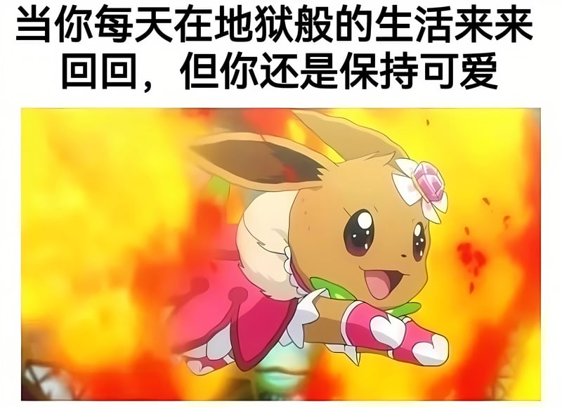 伊布