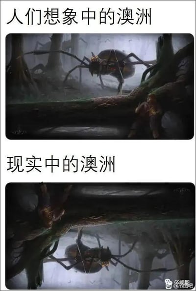 这是一张采用上下分栏对比形式的搞笑梗图，用来调侃外界对澳洲多巨型危险生物的刻板印象。上半部分标题为“人们想象中的澳洲”，画面是昏暗阴森的森林里，一只体型巨大的蜘蛛趴在横置的树干上，树干下方的人类露出惊恐的姿态，营造出人类在澳洲被巨型蜘蛛威胁的恐怖氛围；下半部分标题为“现实中的澳洲”，画面完全上下颠倒，巨型蜘蛛倒挂在树干的下方，人类则待在树干的上方，通过画面颠倒的反转手法，暗示在澳洲实际是巨型蜘蛛处于“下方”，人类的位置更安全，用强烈的反差感制造搞笑效果，打破了外界对澳洲生物的恐怖刻板印象。