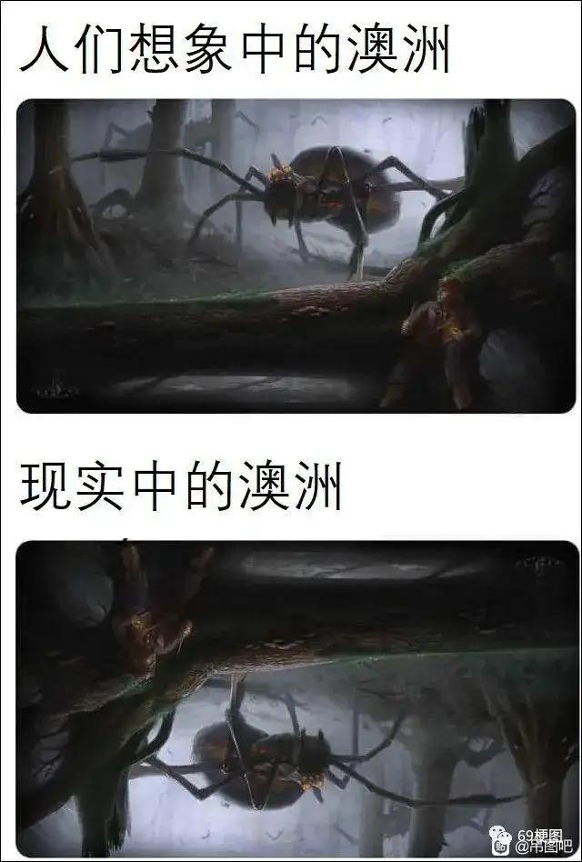 人类