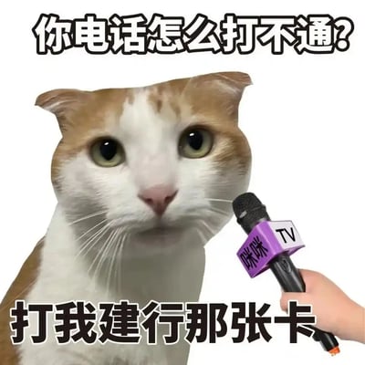 这是一张经过P图改编的静态表情包，画面主体是一只黄白相间的猫咪，一只手拿着带有“咪咪TV”标识的麦克风对它进行“采访”。图片上方配文“你电话怎么打不通？”，下方配文“打我建行那张卡”，利用“打电话”的“打”和“向银行卡打钱”的“打”制造语义歧义，将原本询问电话无法接通的问题歪楼到打钱的话题上，形成无厘头的搞笑效果，适合在日常社交聊天中用来调侃好友、活跃氛围。