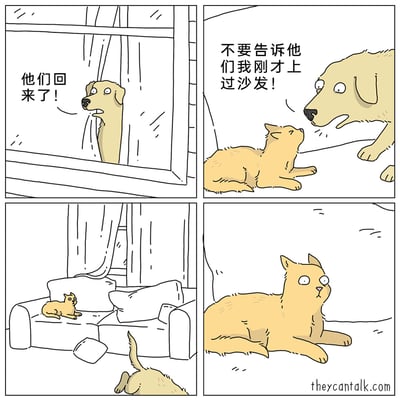 这是一幅四格搞笑漫画：第一格，一只狗趴在窗户边，一脸惊讶地大喊“他们回来了！”，发现主人即将回家；第二格，狗紧张地对着趴在地上的猫叮嘱“不要告诉他们我刚才上过沙发！”，试图掩盖自己闯祸的行为；第三格，画面切换到被弄得乱糟糟的沙发，猫正坐在沙发上，狗的尾巴出现在画面下方，已经匆忙跑开；第四格，猫一脸错愕地愣在原地，显然它才是在沙发上搞破坏的那个，狗完全搞错了对象，留下猫独自面对即将回家的主人，形成了极具喜剧效果的反转。