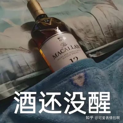 图片中一瓶麦卡伦12年单一麦芽苏格兰威士忌（The Macallan 12 Year Old Single Malt Scotch Whisky）被放置在铺有蓝白花纹被子的床上，瓶身斜躺，部分被蓝色毛毯覆盖，仿佛“卧床休息”的姿态。图片底部有醒目的白色文字“酒还没醒”，通过拟人化手法将威士忌瓶赋予“宿醉未醒”的幽默形象，营造出慵懒戏谑的氛围。