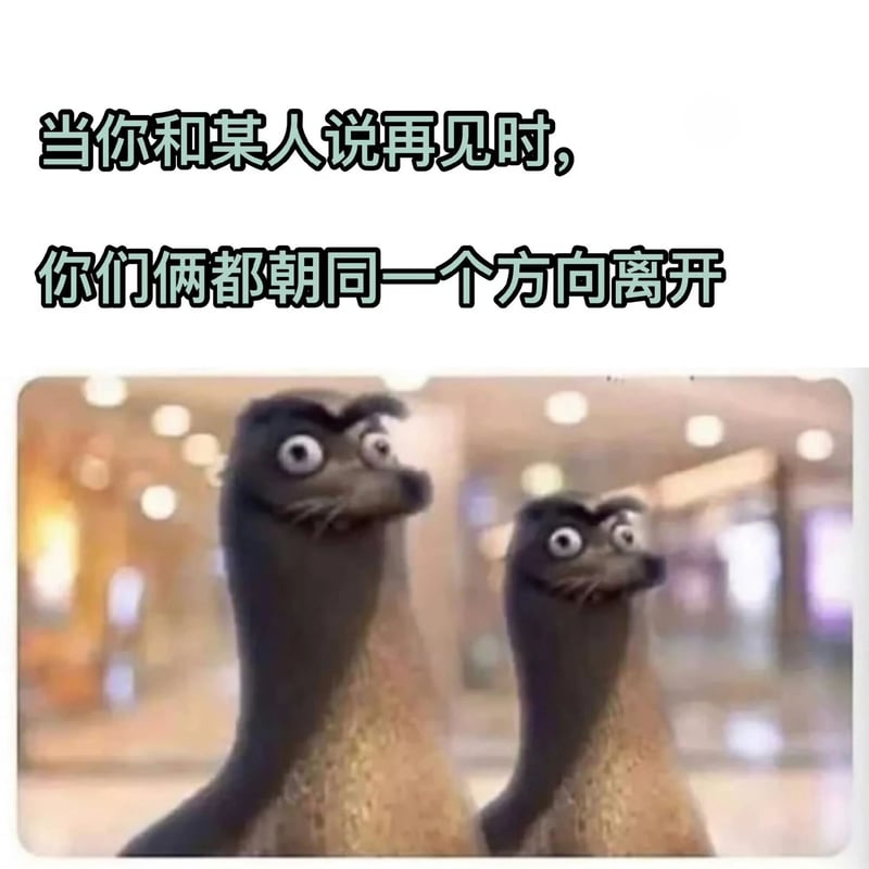 海底总动员2：多莉去哪儿