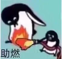 图中有两只卡通企鹅，一只体型较大的企鹅站在火焰之中，表情看起来有些无奈；另一只小企鹅则手持火把，正在给大企鹅脚下的火焰“助燃”。图片左下角配有“助燃”二字，用夸张搞笑的画面，生动地表现出“火上浇油、添油加醋”的行为，常用于聊天时调侃朋友在他人困境中推波助澜的补刀操作。