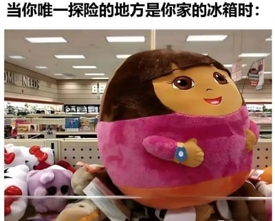图中展示了一只圆滚滚的朵拉（Dora the Explorer）毛绒玩具，配文“当你唯一探险的地方是你家的冰箱时：”，巧妙将Dora的冒险精神和在家宅着吃东西、变胖的现象结合，形成双关和幽默效果。画面气氛轻松自嘲，非常适合年轻群体在网络上表达“宅”文化的自我调侃。胖朵拉的形象瞬间俘获网友，让人忍俊不禁。