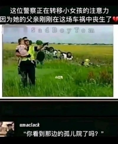 这是一张拼接式的黑色幽默梗图，上半部分呈现了一个看似温情的场景：一名警察怀抱着小女孩，手指向远方，背景是草地里翻倒的事故车辆，配文说明警察正在转移小女孩的注意力，因为她的父亲刚在这场车祸中丧生；下半部分是一条来自海外用户umaclack的评论，内容是“你看到那边的孤儿院了吗？”，用尖锐直接的黑色幽默打破了原本的温情氛围，制造出强烈的反转效果，通过荒诞的方式戳中笑点，属于典型的网络解构类梗图。