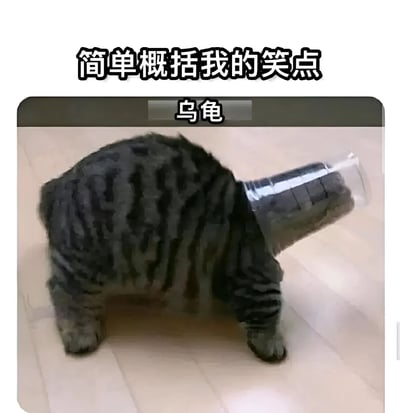 一张幽默的P图，展示了一只猫的身体配上乌龟的头部，上方文字写着'简单概括我的笑点'，中间标注'乌龟'，通过动物特征的不协调组合制造喜剧效果。
