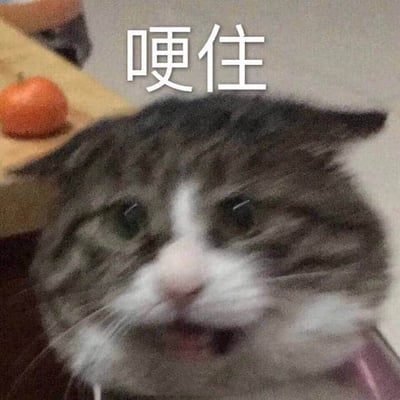 一张猫咪的特写照片，猫咪有着灰白相间的毛发，表情看起来非常震惊，嘴巴微张，眼睛睁大。图片上方有白色文字“哽住”，表达了猫咪似乎被什么东西噎住或惊讶到说不出话的样子。背景中可以看到一个橙色的小橘子放在木制表面上。
