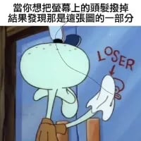 这是一张改编自动画《海绵宝宝》的搞笑梗图，图中角色章鱼哥的头顶有一道类似头发的裂缝，上方配文「當你想把螢幕上的頭髮撥掉 結果發現那是這張圖的一部分」，同时在裂缝处标注了红色英文「LOSER」。该梗利用视觉错觉，模拟观看者误以为屏幕上有头发异物，伸手去拨弄却发现是图本身设计的尴尬场景，制造出滑稽又无奈的搞笑效果。