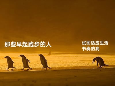这是一张充满共鸣感的网络梗图，画面采用暖黄色调的海滩企鹅实拍照片为基底，左侧三只企鹅步伐整齐、姿态精神地向前行进，对应配文“那些早起跑步的人”，用来指代生活中自律、充满活力的人群；右侧单独一只企鹅弯腰低头，身体萎靡还在吐水，对应配文“试图适应生活节奏的我”，精准地刻画出普通人想要效仿自律生活，却因自身状态跟不上而疲惫不堪、力不从心的真实状态，通过强烈的画面反差和幽默的拟人化表达，引发当代年轻人在生活节奏中的共情。