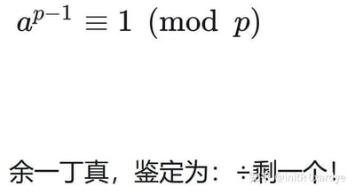 这是一张图文混排的玩梗图，上方展示了数论中的费马小定理公式：$a^{p-1} ≡ 1 \pmod{p}$，该定理的含义是当p为质数且a与p互质时，a的p-1次方除以p的余数为1。下方文字玩了谐音梗：“余一丁真，鉴定为：÷剩一个！”，其中“余一”对应公式里的“除以p余1”，“丁真”谐音“定真”，结合网络热梗句式“鉴定为”，用“÷”代表除法，将严肃的数学定理用搞笑的网络梗形式解读，趣味十足。
