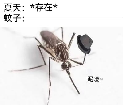 这是一张经过P图改编的搞笑静态单图，以夏日高频出现的蚊子为核心创作对象，采用拟人化手法进行趣味加工。图片上方以文字“夏天：*存在*”暗示夏季的来临，画面主体是一只真实蚊子的照片，被后期添加了一顶黑色小礼帽，蚊子的一只前肢抬起举着帽子，搭配右下角的谐音梗文字“泥嚎~”（即“你好”的可爱谐音），模拟出蚊子热情打招呼的拟人化场景。整张图用轻松诙谐的方式调侃夏天必然会被蚊子困扰的日常，通过可爱的拟人姿态消解人们对蚊子的厌烦情绪，风格幽默接地气，适合作为表情包用于夏日相关的社交聊天中。