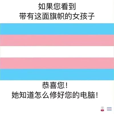 图片上方文字为"如果您看到带有这面旗帜的女孩子"，中间是蓝粉白相间的彩虹旗图案，下方文字为"恭喜您！她知道怎么修好您的电脑！"。这是一张幽默梗图，将彩虹旗与女性会修电脑的刻板印象结合，创造出意想不到的幽默效果。