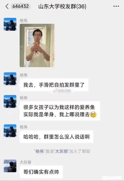 图片是一张微信群聊截图，群名称为“山东大学校友群(36)”。杨伟在群里意外发了一张自己的自拍照，紧接着发消息表示是“手滑把自拍发群里了”，随后自我调侃，称“很多女孩子以为我这样的爱养鱼，其实我是单身，我上哪说理去”，并且主动问为什么没人说话。最后，另一位群友“大灰狼”被杨伟拉进群聊后评论“哥们确实有点帅”。整体氛围带有一点尴尬又自嘲，很生活化，也流露出社交群聊中的幽默和无奈。

**谐音梗/暗示说明**：这里“爱养鱼”是指互联网用语“养鱼”，即指单身人士喜欢和多个人聊天、暧昧，仿佛“养很多鱼”一样的意思，实际主角是自嘲自己没有女友。

**场景说明**：这类“手滑发自拍”+群友调侃的场面在大学生、校友群中颇为常见，既有尴尬又能自圆其说，轻松幽默。