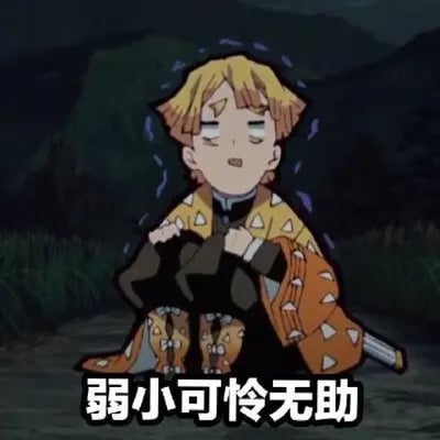 《鬼灭之刃》中的角色我妻善逸在夜晚的山林背景下抱膝蹲坐，双眼微闭，表情困倦又带着委屈，身上穿着标志性的黄色带白色三角形图案的外套。图片底部配有黑色加粗文字“弱小可怜无助”，生动表现出角色此刻无助又惹人怜爱的状态，常被用作表达委屈、无奈情绪的表情包。