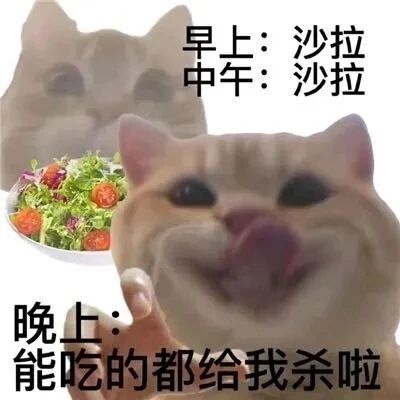 这是一张上下对比的静态P图改编表情包，上方是表情低落无奈的Mur猫，搭配文字“早上：沙拉 中午：沙拉”，旁边还有一盘色彩丰富的沙拉图，表现出减肥初期严格控制饮食的克制状态；下方是表情兴奋放纵、吐舌头并竖起大拇指的Mur猫，配文“晚上：能吃的都给我杀啦”，生动呈现出经过白天的克制后，晚上彻底放弃饮食控制、渴望大吃一顿的心态反差，精准戳中很多人减肥时的真实经历，充满搞笑感。