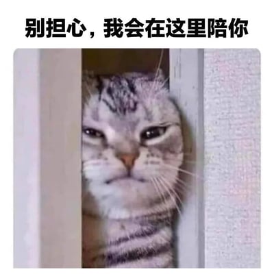一只灰色虎斑猫从门缝中探出头，眼神略带不屑和冷漠，仿佛在暗中观察。图片上方配有文字'别担心，我会在这里陪你'，猫咪的表情与文字传达的温暖形成反差萌，营造出一种幽默又治愈的氛围。