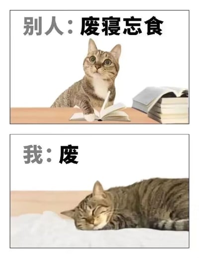 这是一张采用上下对比形式的网络梗图，通过猫咪的形象和文字配文制造强烈反差，幽默自嘲。上方画面中，一只猫咪睁着圆眼睛，表情专注地坐在桌前，爪子放在摊开的书本上，旁边还堆叠着几本厚书，配文“别人：废寝忘食”，生动呈现出他人在工作、学习中勤奋投入、全神贯注的状态；下方画面里，同系列的猫咪双眼紧闭，一脸惬意地趴在柔软的地方熟睡，配文“我：废”，巧妙拆解了“废寝忘食”这个词，只保留“废”字，用谐音梗的方式，调侃自己只想躺平摆烂、不愿努力的慵懒状态。整张图通过这种鲜明的状态反差，精准戳中当代年轻人在面对他人的勤奋时，自身只想放松休息的心态，极易引发共鸣。