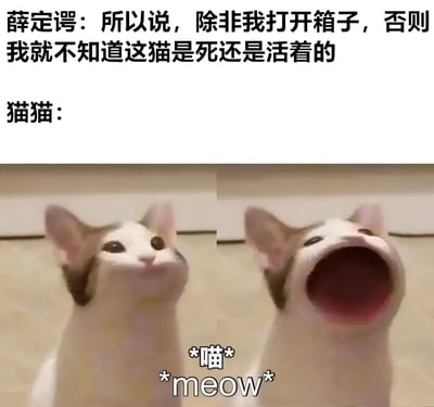 这是一张幽默改编薛定谔的猫思想实验的meme图片。上方文字显示薛定谔的经典台词："所以说，除非我打开箱子，否则我就不知道这猫是死还是活着的"。下方是同一只猫的两张并排照片，左侧猫咪平静地抬头看，右侧猫咪张大嘴巴像是在大叫。两张猫图之间有"*喵* *meow*"的文字，表示猫的叫声。通过展示猫的两种不同状态，幽默地诠释了量子叠加态的概念。