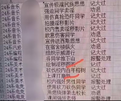 这是一张网友自制的模拟高校24系学生处分名单表格，表格中罗列了大量反差感极强的“违纪行为”：从纵火、伤人、性侵等需要报警或劝退的极端严重违纪，到绘制淫秽图画、上课玩《崩坏：星穹铁道》（简称“崩铁”）这类轻微甚至充满玩梗性质的行为，将离谱的严重事件和生活化的玩梗内容放在同一表格中，形成强烈的荒诞反差感，其中“绘制淫秽图画”“上课打崩铁”被红笔标注，进一步放大这种搞笑的错位感，整体内容充满调侃和整活的趣味。