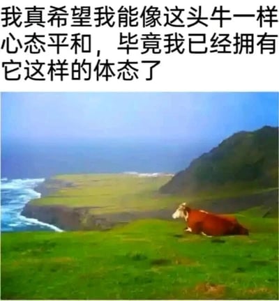 这是一张顶配底文图，画面上方是黑色简体中文自嘲文字：“我真希望我能像这头牛一样心态平和，毕竟我已经拥有它这样的体态了”，下方是一张原始拍摄的自然风光图，图中一头棕白相间的牛神态平和地卧在临海的绿色草坡上，背景是开阔的蓝色海岸与深色远山，整体氛围宁静舒缓。文字以幽默自嘲的方式，调侃自己有着和图中牛一样丰腴的体态，同时表达了对牛那般平和心态的向往，用接地气的方式抒发了当代人在生活中渴望舒缓心态的情绪。