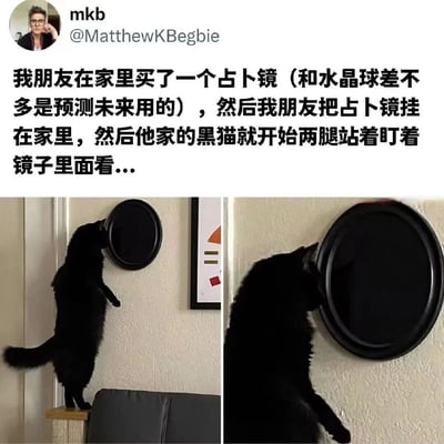 这是一张社交媒体截图，内容为用户分享朋友家黑猫的趣事。文字部分描述朋友购买了一个用于预测未来的占卜镜并挂在家中，随后家中的黑猫开始两腿站立盯着镜子看。图片分为左右两张：左侧照片中，黑猫站在家具上，后腿直立，前爪靠近圆形黑色占卜镜，专注地凝视镜中；右侧为特写镜头，黑猫的脸贴近镜子，神情认真。整体画面幽默可爱，展现了猫咪的好奇心和有趣行为。