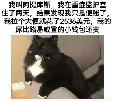 图片上方为黑色文字，讲述名为“阿提库斯”的角色在重症监护室住了两天，最终发现只是便秘，此次“排便”花费2536美元，调侃其“屎比路易威登的小钱包还贵”。下方是一只黑白相间的猫，正悠闲地坐在灰色沙发上，表情平静，与上方夸张的文字形成幽默对比，整体通过夸张手法讽刺高昂的医疗费用。