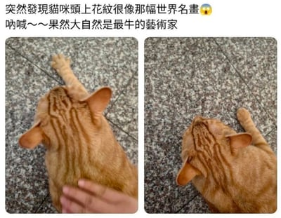两张并排的橘猫照片，从上方拍摄，展示猫咪头部独特的条纹花纹。左侧照片中有一只手正在抚摸猫咪的背部，右侧照片展示猫咪头部更清晰的纹路。图片上方配有文字：'突然發現貓咪頭上花紋很像那幅世界名畫😲 吶喊～～果然大自然是最牛的藝術家'，指出猫咪头部的花纹与爱德华·蒙克的名画《呐喊》中的形象相似。
