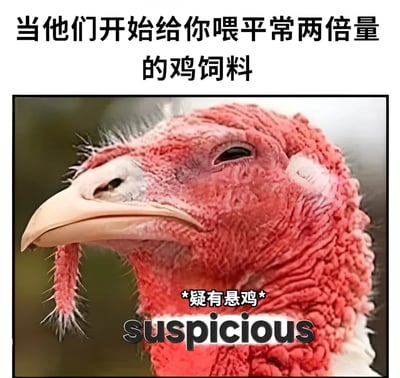 图片上方配有文字'当他们开始给你喂平常两倍量的鸡饲料'，中间是一只火鸡的特写镜头，火鸡面部表情显得怀疑和警惕。图片下方有文字'*疑有悬鸡*'及英文'suspicious'，其中'疑有悬鸡'是对'suspicious'的谐音双关梗，结合火鸡的形象制造幽默效果。