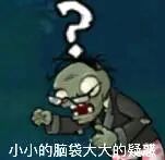 植物大战僵尸