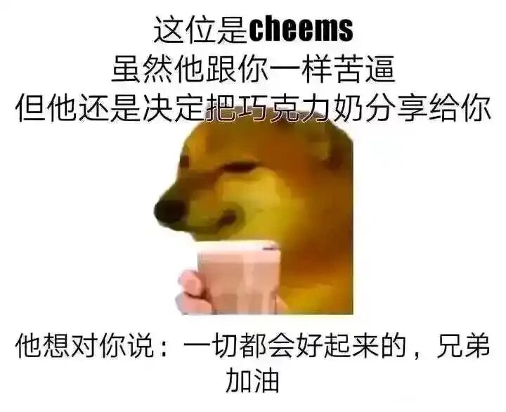 Cheems