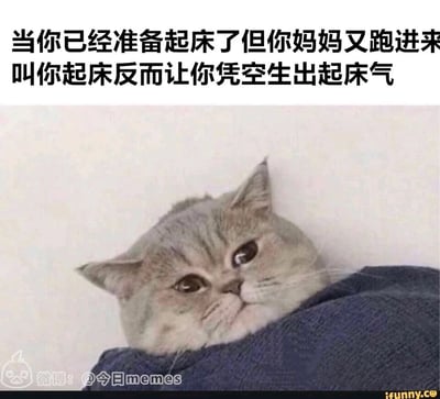 这是一张贴合日常的搞笑表情包，图片上方配有精准戳中生活场景的吐槽文字：“当你已经准备起床了但你妈妈又跑进来叫你起床反而让你凭空生出起床气”。图中主体是一只裹在深蓝色被子里的猫咪，它将脑袋靠在墙边，眼神幽怨，嘴角下撇，满脸都是不爽又无奈的神情，完美还原了人们本来已经做好起床准备，却被妈妈再次催促后，瞬间生出起床气的那种憋屈、烦躁又无力反驳的情绪，生动再现了很多人都经历过的家庭日常小插曲，极易引发观者的共鸣。