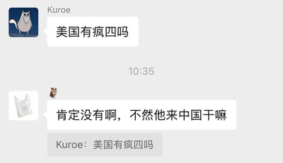 这是一张即时通讯软件的聊天记录截图，上方用户名为Kuroe，头像是站在星空下的白色长胡须卡通猫，发送消息询问“美国有疯四吗”，消息下方显示时间10:35；下方用户头像是白色塑料袋，发送消息前附带了猫头鹰小表情，回复内容为“肯定没有啊，不然他来中国干嘛”，底部还显示了对Kuroe提问的引用消息。该内容玩国内热门网络梗的谐音，“疯四”是肯德基“疯狂星期四”促销活动的中文简称，回复故意将指代活动的“疯四”曲解为特定人物，制造无厘头笑点。