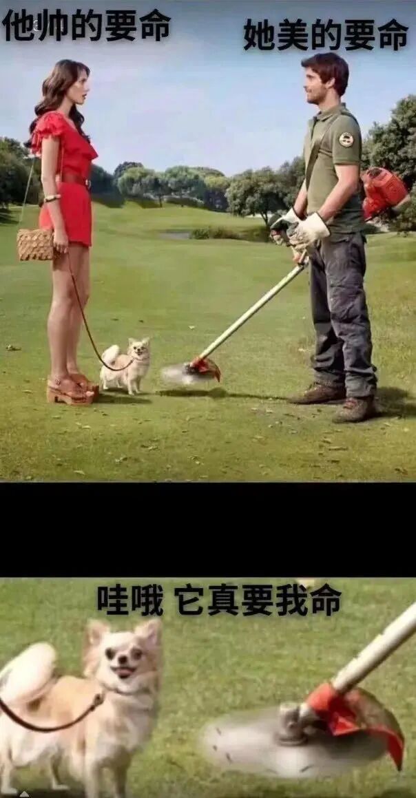 绿衣男子
