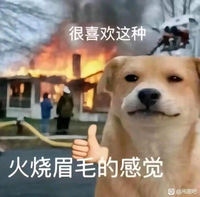 这是一张经过P图改编的搞笑网络梗图，前景是被P上人类竖大拇指的手、表情淡定且带戏谑感的狗狗，背景是正在着火的房屋，消防员在现场开展灭火作业。图中配文“很喜欢这种火烧眉毛的感觉”，利用“火烧眉毛”的字面含义与真实着火场景形成反差，以淡定的姿态自嘲处于紧急、棘手的处境，用幽默的方式表达对困境的调侃，常用于社交平台吐槽自己面对一堆紧急事务却摆烂的状态。