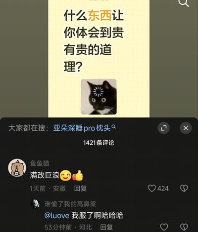 这张截图整体分为上下两部分，上方是发布的内容主体：浅黄色背景上印有黑色加粗提问文字“什么东西让你体会到贵有贵的道理？”，其中“东西”二字为橙色高亮，文字下方搭配了一张头顶带有加载动画的黑猫表情包，表现出正在思考的状态；下方是该内容的评论区，顶部显示关联搜索词为“亚朵深睡pro枕头”，全帖共有1421条评论，热评第一是用户“鱼鱼猫”发布的内容“满改巨浪😊👍”，获赞424次，下方还有另一条用户评论@好友表示该评论十分好笑。