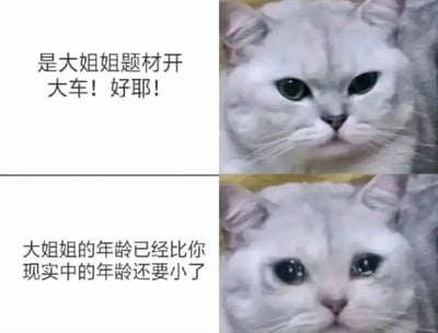 这是一张上下对比的多图拼接梗图。上图左侧文字写着“是大姐姐题材开大车！好耶！”，右侧是一只表情平静的白色猫咪特写；下图左侧文字为“大姐姐的年龄已经比你现实中的年龄还要小了”，右侧猫咪则露出略带委屈的眼神，仿佛因年龄反转而失落。通过文字与猫咪表情的对比，形成幽默的反差效果，调侃了对“大姐姐题材”的期待与现实年龄认知之间的落差。