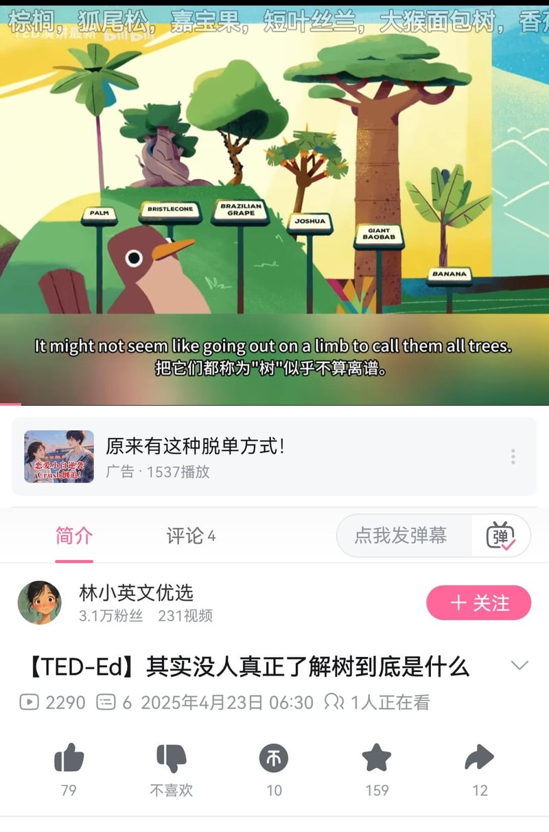 TED-Ed video animation